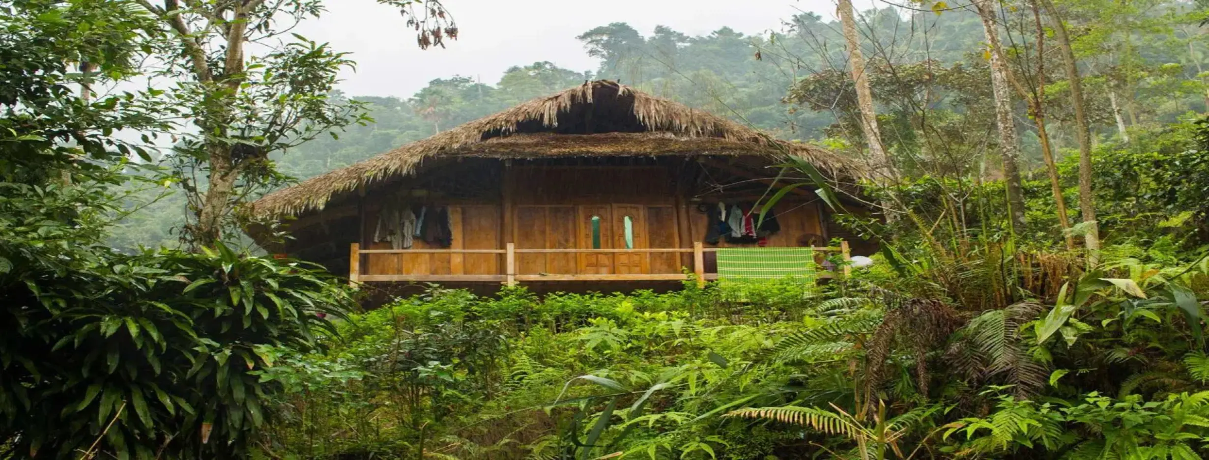 Image for Rural Homestay